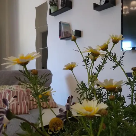 Apartmán Diamant's Place With Treehouse Garden *